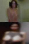 Free dogging forums
